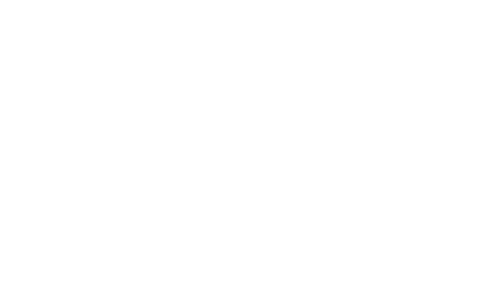 الشركة الوطنية لتكنولوجيا المعلومات